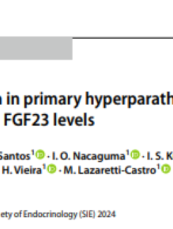 Vitamin D supplementation in primary hyperparathyroidism: efects on 1,25(OH)2 vitamin D and FGF23 levels